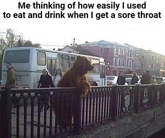 37 funny memes and pics -  car - Me thinking of how easily I used to eat and drink when I get a sore throat