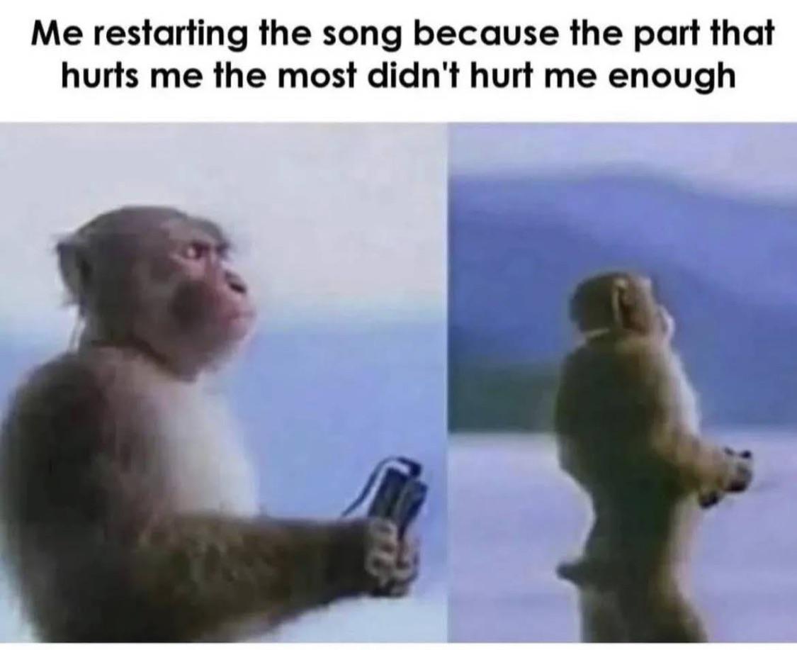 37 funny memes and pics -  fauna - Me restarting the song because the part that hurts me the most didn't hurt me enough