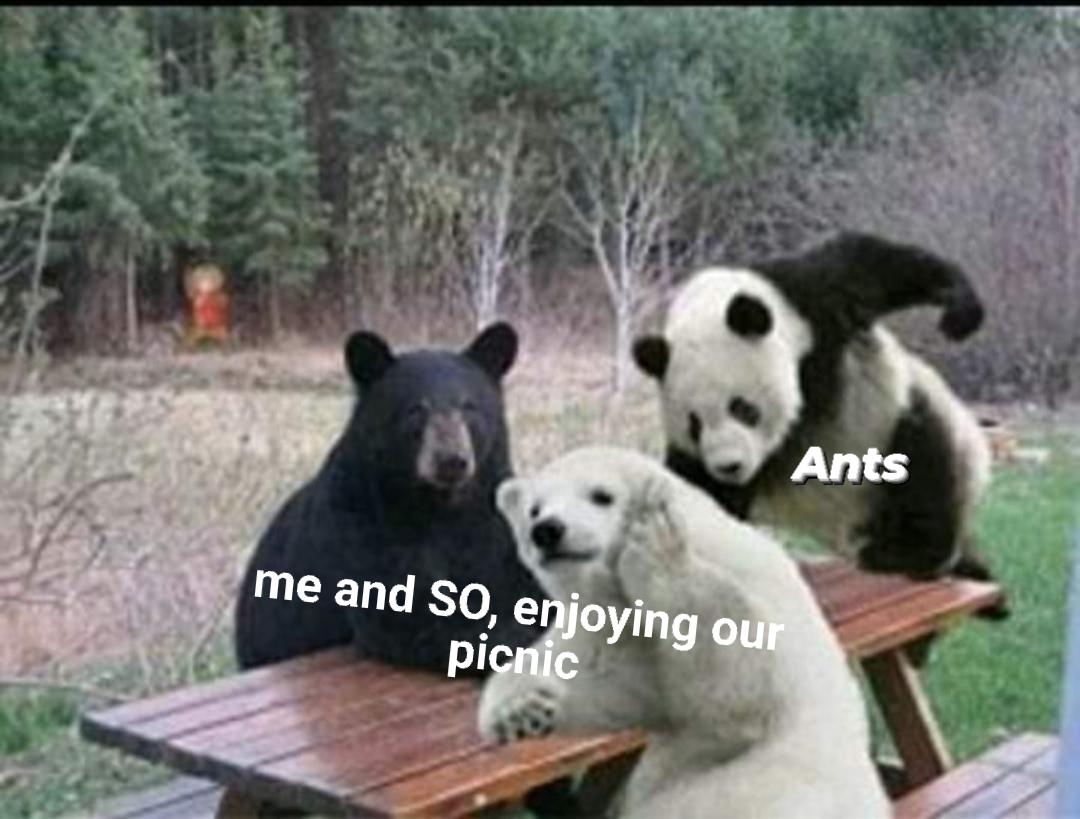 37 funny memes and pics -  giant panda - Ants me and So, enjoying our picnic