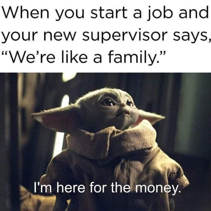 37 funny memes and pics -  im here for the money meme - When you start a job and your new supervisor says, "We're a family." I'm here for the money.