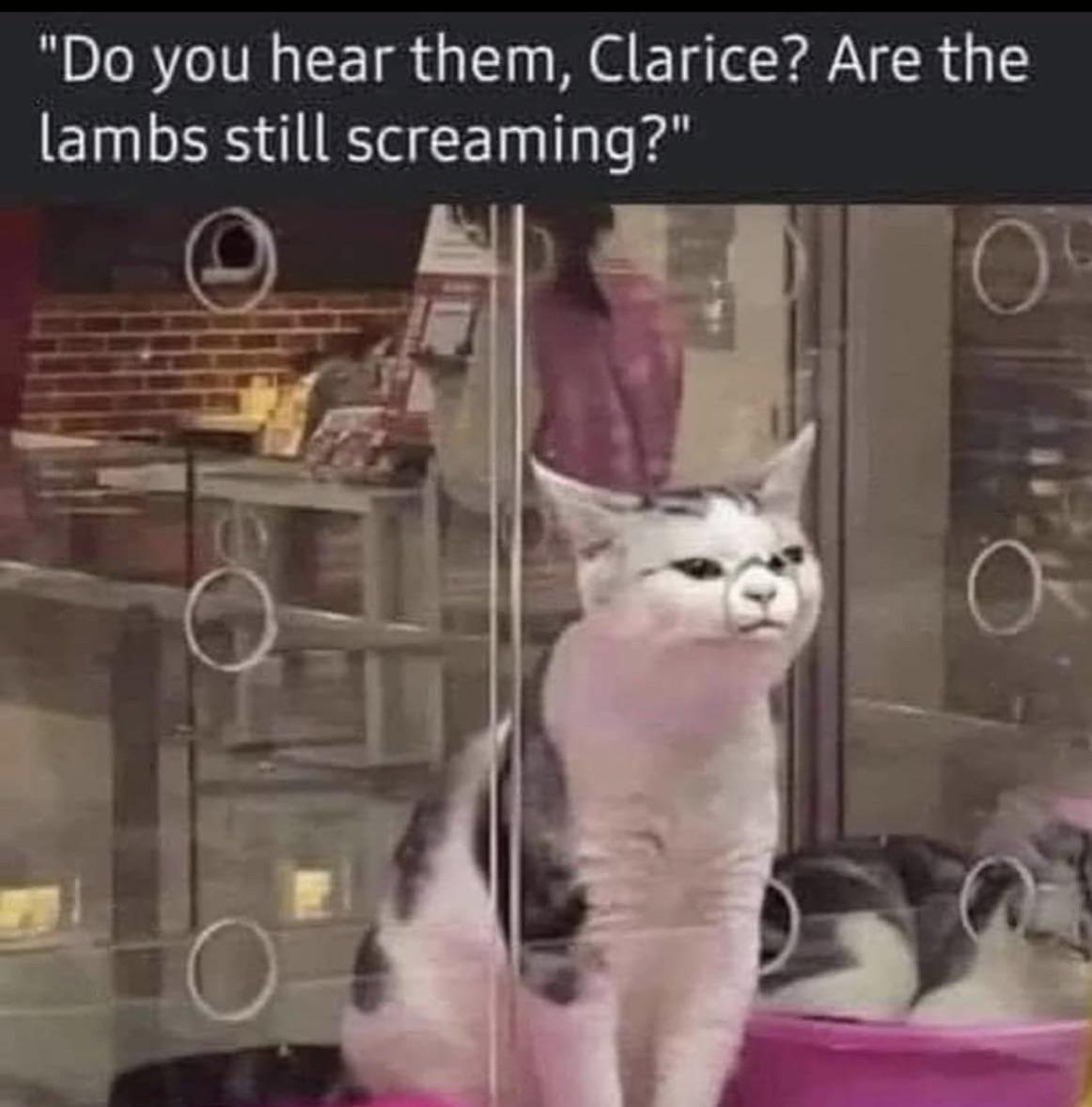 funny memes and tweets - photo caption - "Do you hear them, Clarice? Are the lambs still screaming?"