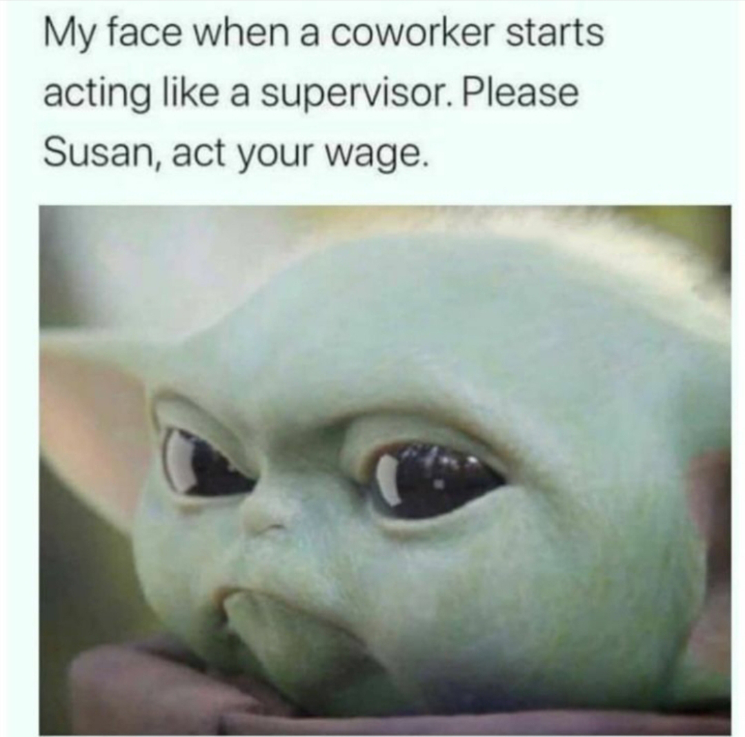 funny memes and tweets - susan act your wage meme - My face when a coworker starts acting a supervisor. Please Susan, act your wage.