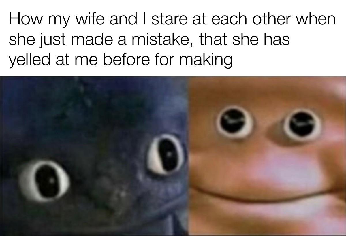 funny memes and tweets - toothless and loaf meme - How my wife and I stare at each other when she just made a mistake, that she has yelled at me before for making