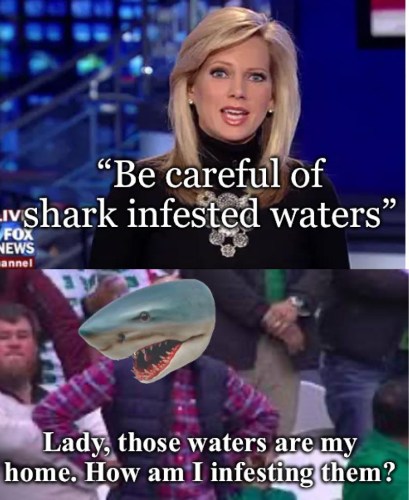 dank memes - - - "Be careful of Ivshark infested waters" Fox News annel Lady, those waters are my home. How am I infesting them?