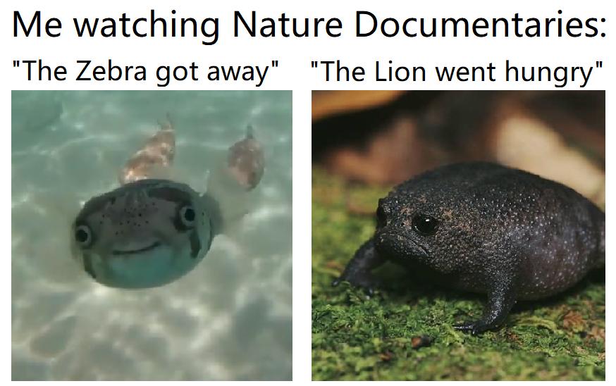 dank memes - tema harbour - Me watching Nature Documentaries "The Zebra got away" "The Lion went hungry"