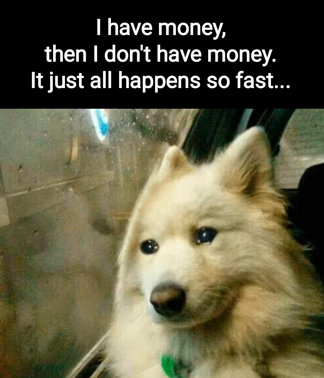 dank memes - sad reaction memes - I have money, then I don't have money. It just all happens so fast...