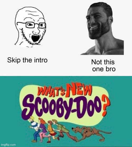 dank memes - whats new scooby doo - Skip the intro imgflip.com Not this one bro What'S New c0063000?