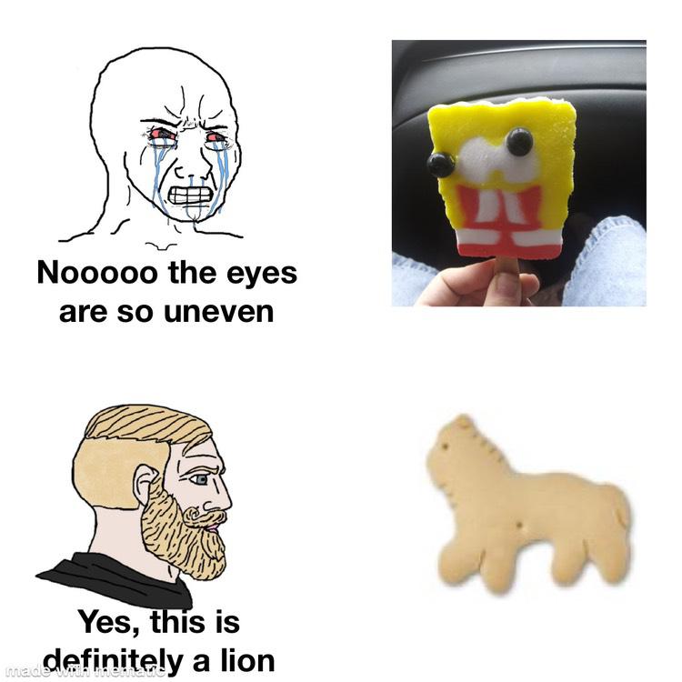 funny memes - head - Nooooo the eyes are so uneven Yes, this is definitely a lion