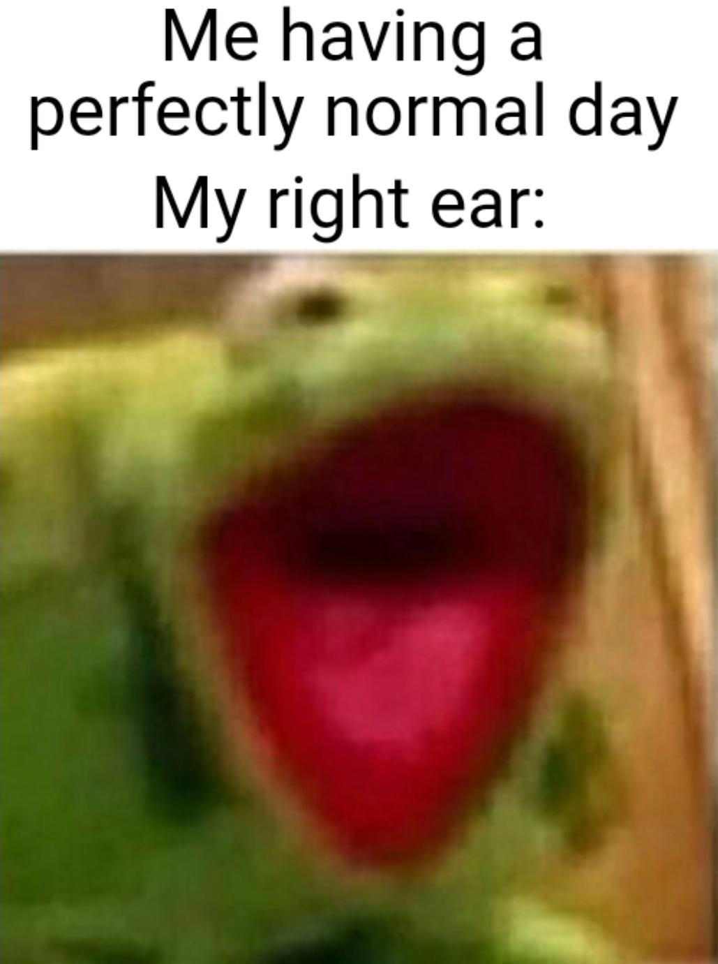fresh memes - memes for memenade - Me having a perfectly normal day My right ear