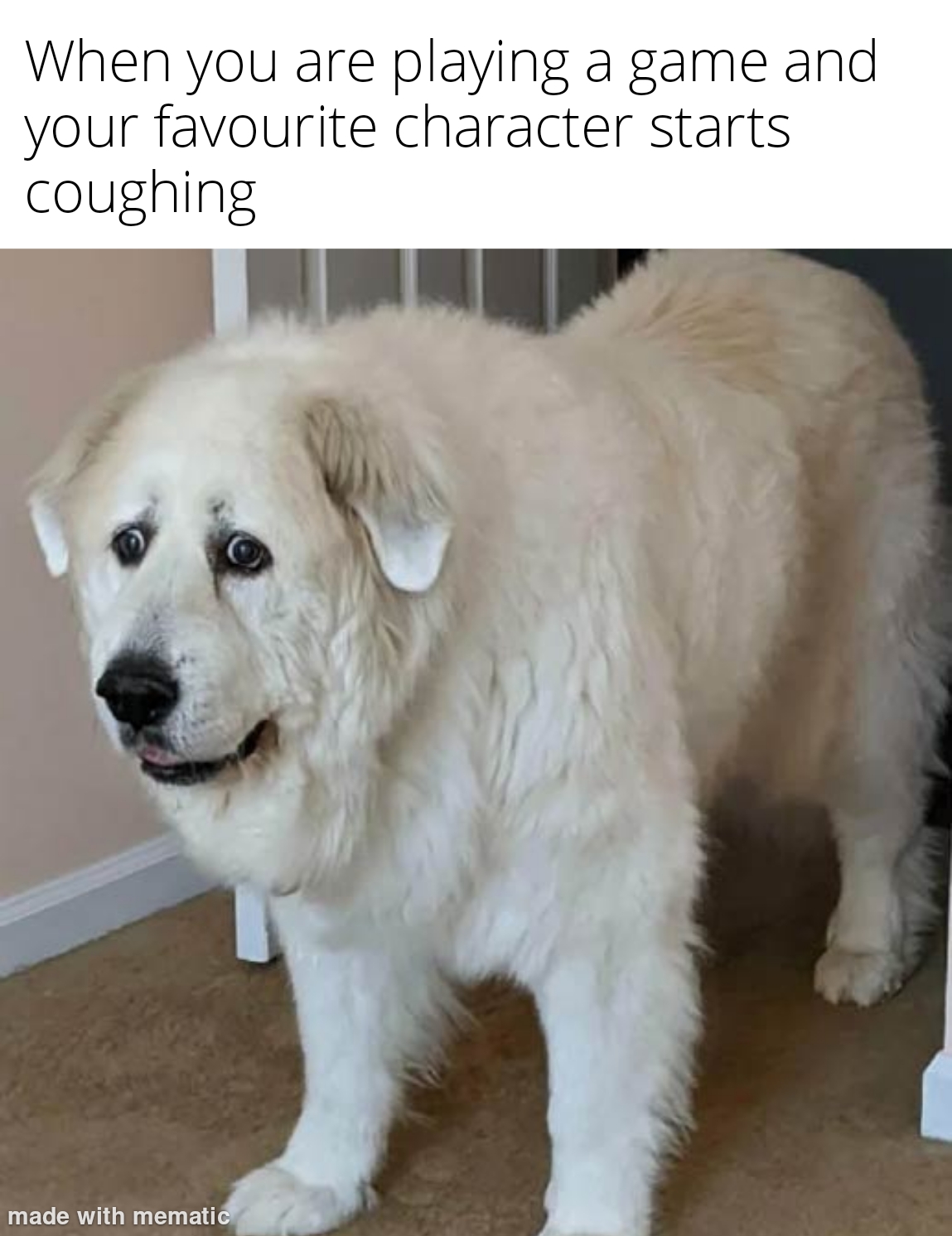 funny memes - scared great pyrenees meme - When you are playing a game and your favourite character starts coughing made with mematic