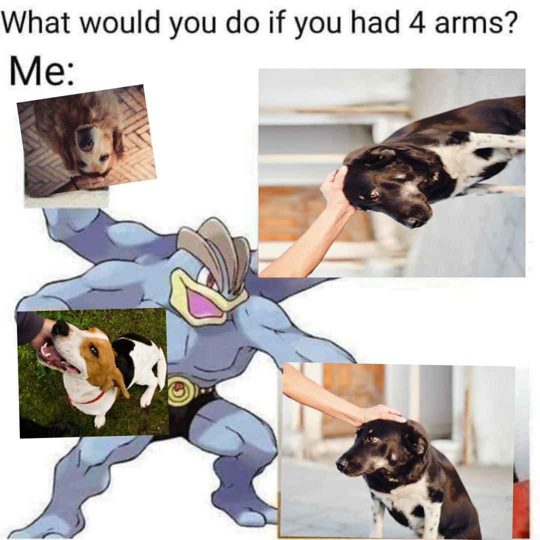 dank memes - dog - What would you do if you had 4 arms? Me