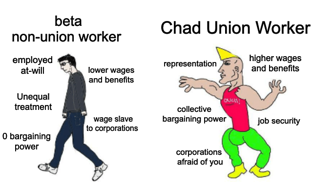 funny memes and pics - chad vs virgin - beta nonunion worker employed atwill Unequal treatment O bargaining power lower wages and benefits wage slave to corporations Chad Union Worker higher wages and benefits representation Touch! collective bargaining p