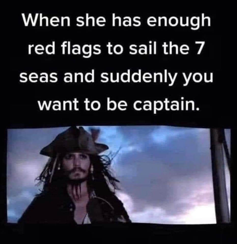 funny memes and pics - national mall - When she has enough red flags to sail the 7 seas and suddenly you want to be captain.