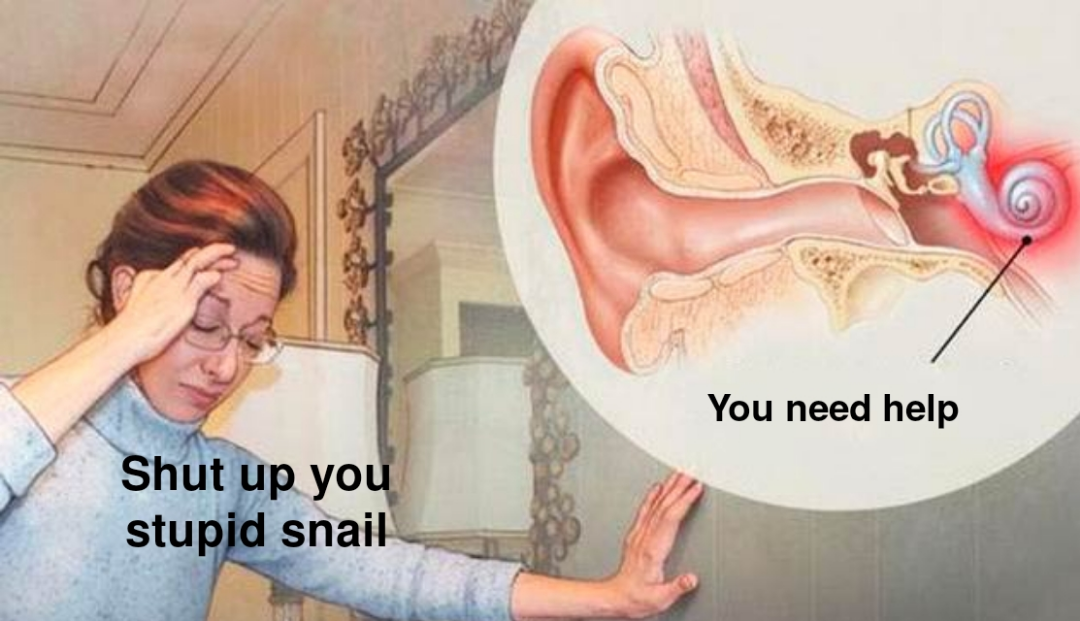 funny memes and pics - snail in my ear meme - Shut up you stupid snail You need help