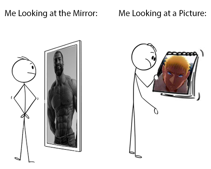 dank memes - head - Me Looking at the Mirror Me Looking at a Picture