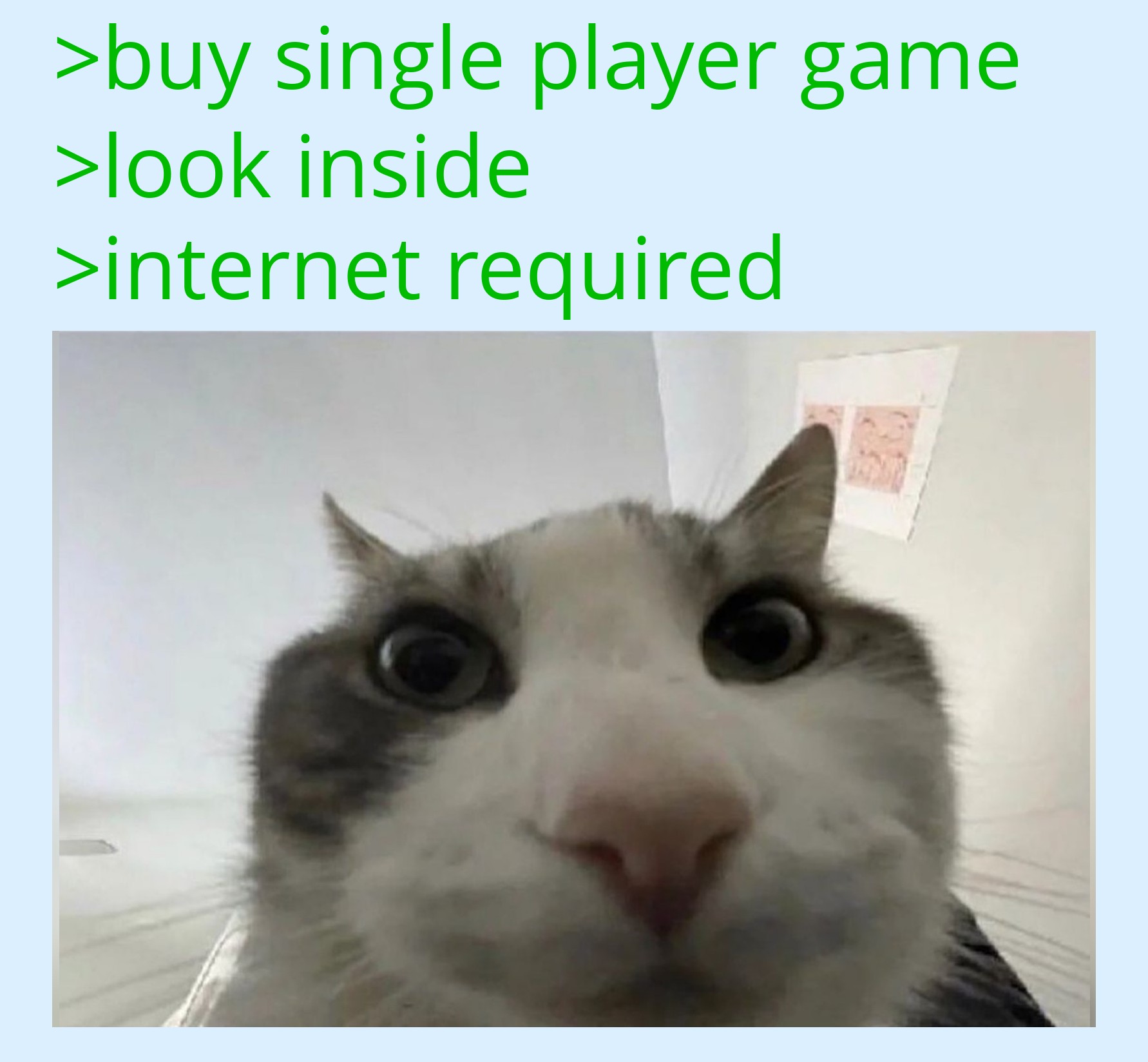 dank memes - cat - >buy single player game >look inside >internet required