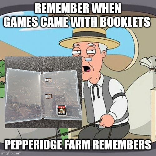 dank memes - serious cat - Remember When Games Came With Booklets vamina mommiten imgflip.com www 12h Pepperidge Farm Remembers