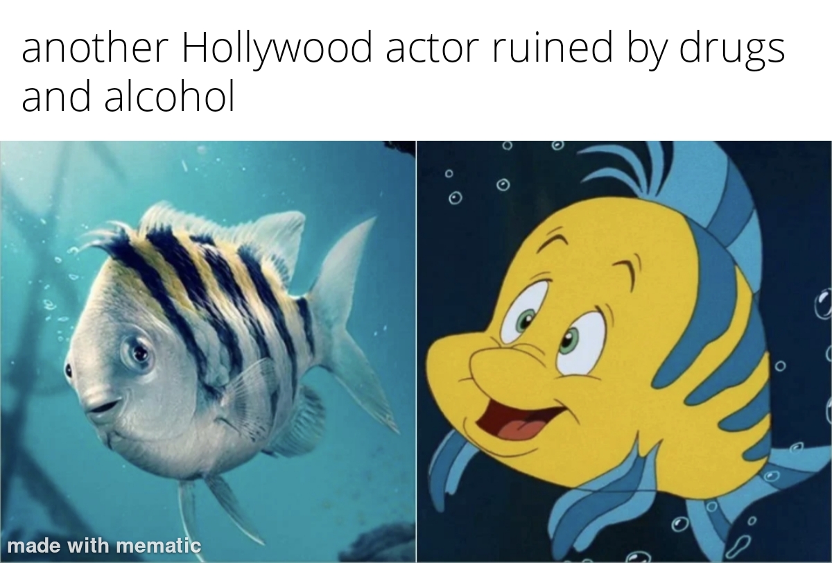 dank memes - flounder little mermaid - another Hollywood actor ruined by drugs and alcohol made with mematic