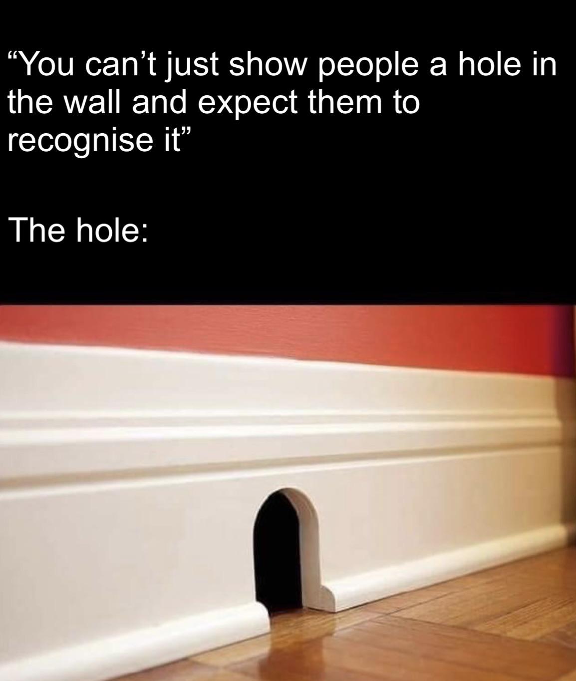 dank memes and pics -  wood - "You can't just show people a hole in the wall and expect them to recognise it" The hole