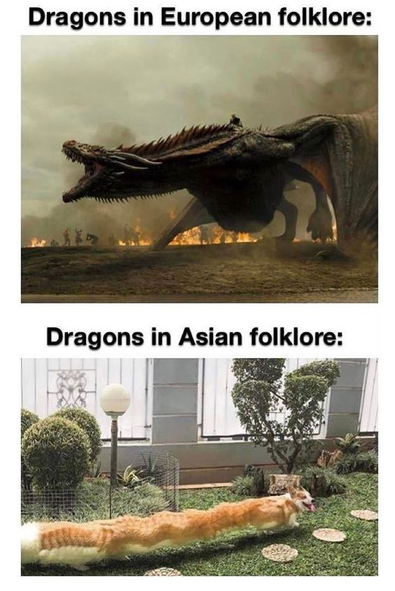 dank memes and pics -  dragons in european folklore meme - Dragons in European folklore Dragons in Asian folklore