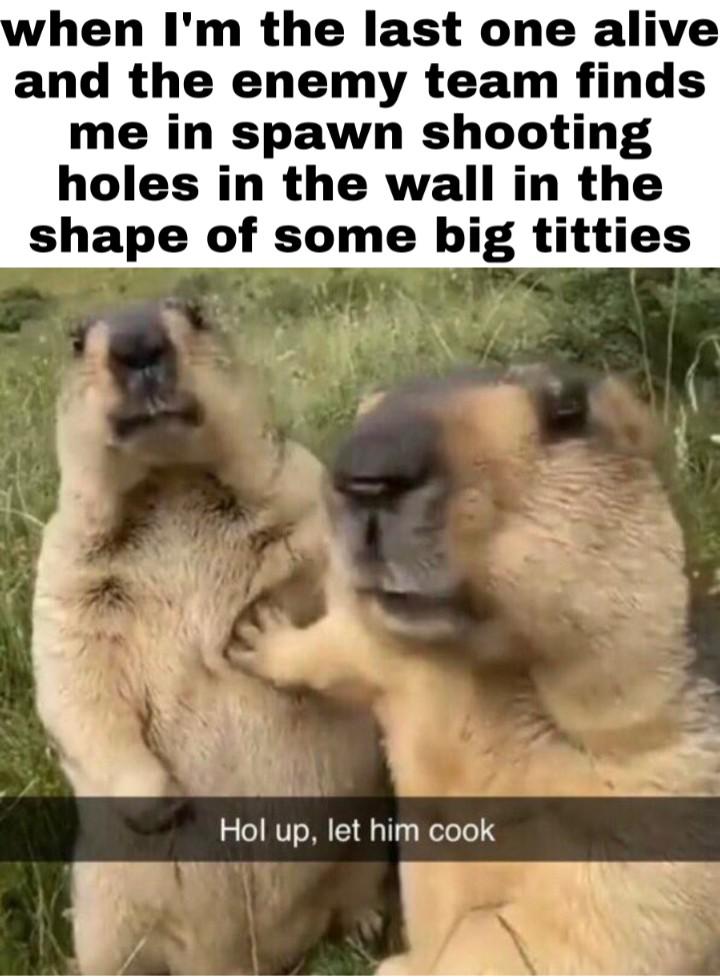 dank memes and pics -  hol up let him cook marmot - when I'm the last one alive and the enemy team finds me in spawn shooting holes in the wall in the shape of some big titties Hol up, let him cook