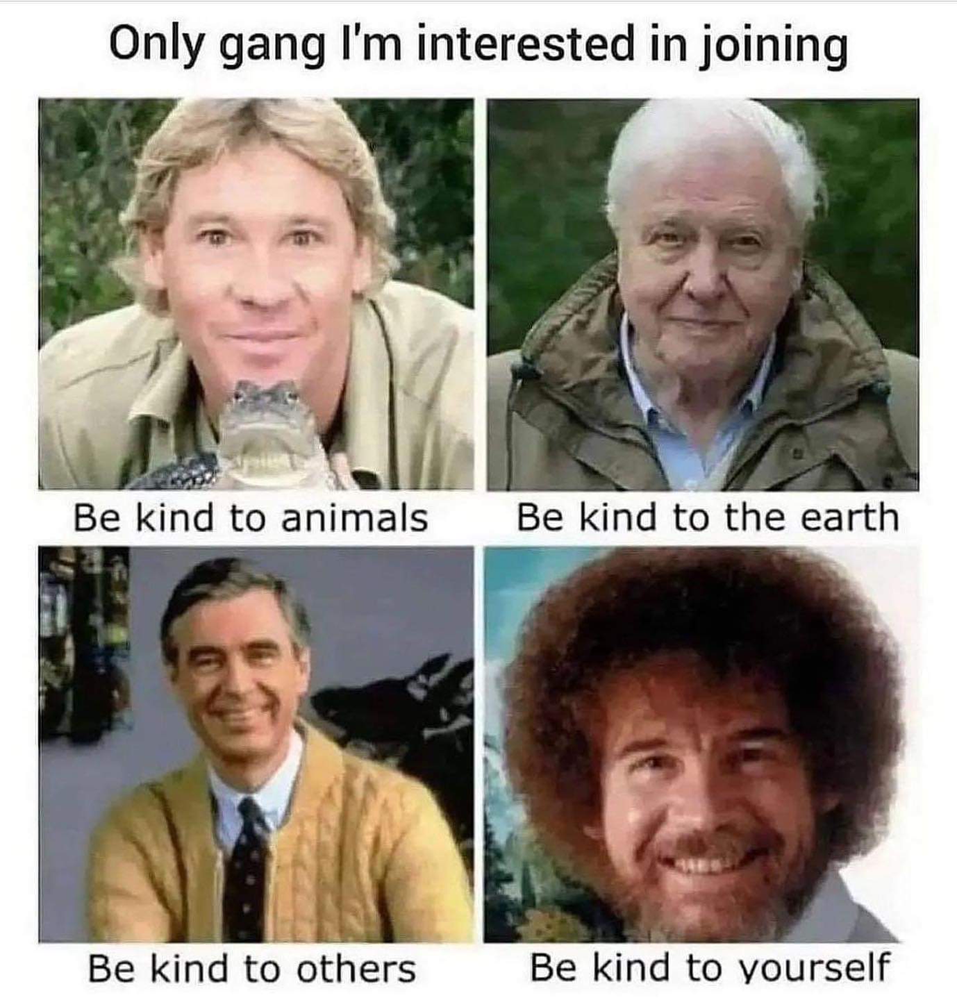 dank memes and pics -  kind meme - Only gang I'm interested in joining Be kind to animals Be kind to the earth Be kind to others Be kind to yourself