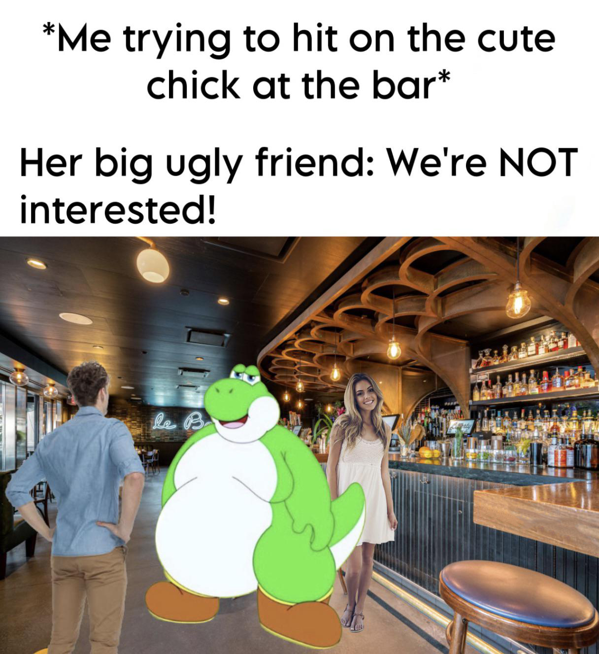 funny memes and pics - Me trying to hit on the cute chick at the bar Her big ugly friend We're Not interested! la B