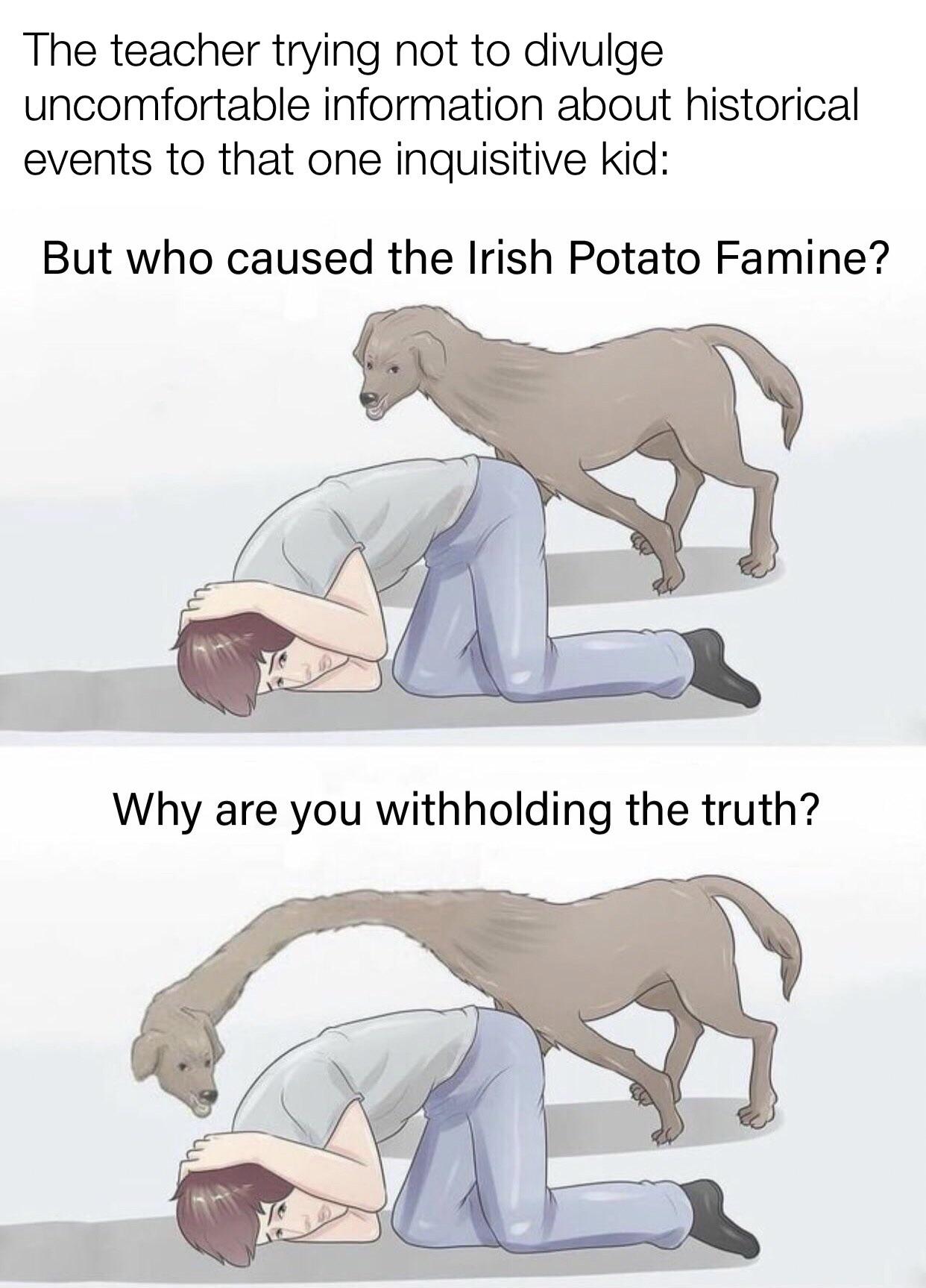 funny memes and pics - long neck wikihow dog - The teacher trying not to divulge uncomfortable information about historical events to that one inquisitive kid But who caused the Irish Potato Famine? Why are you withholding the truth?