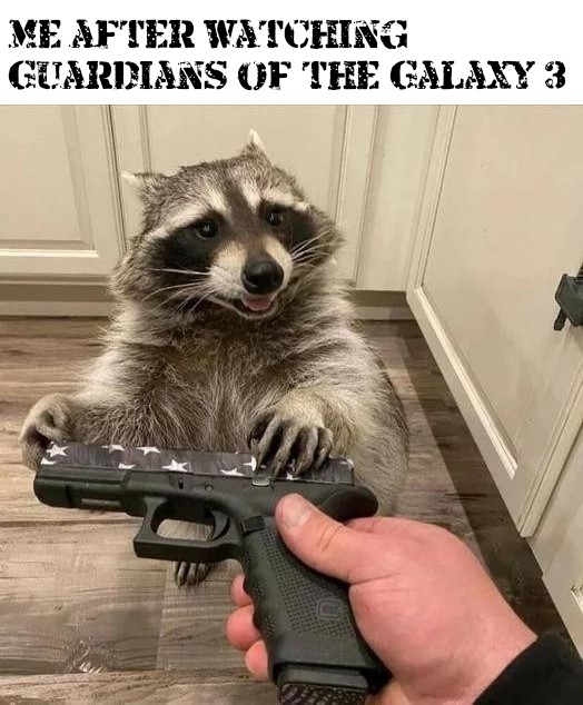 funny memes and pics - raccoon - Me After Watching Guardians Of The Galaxy 3