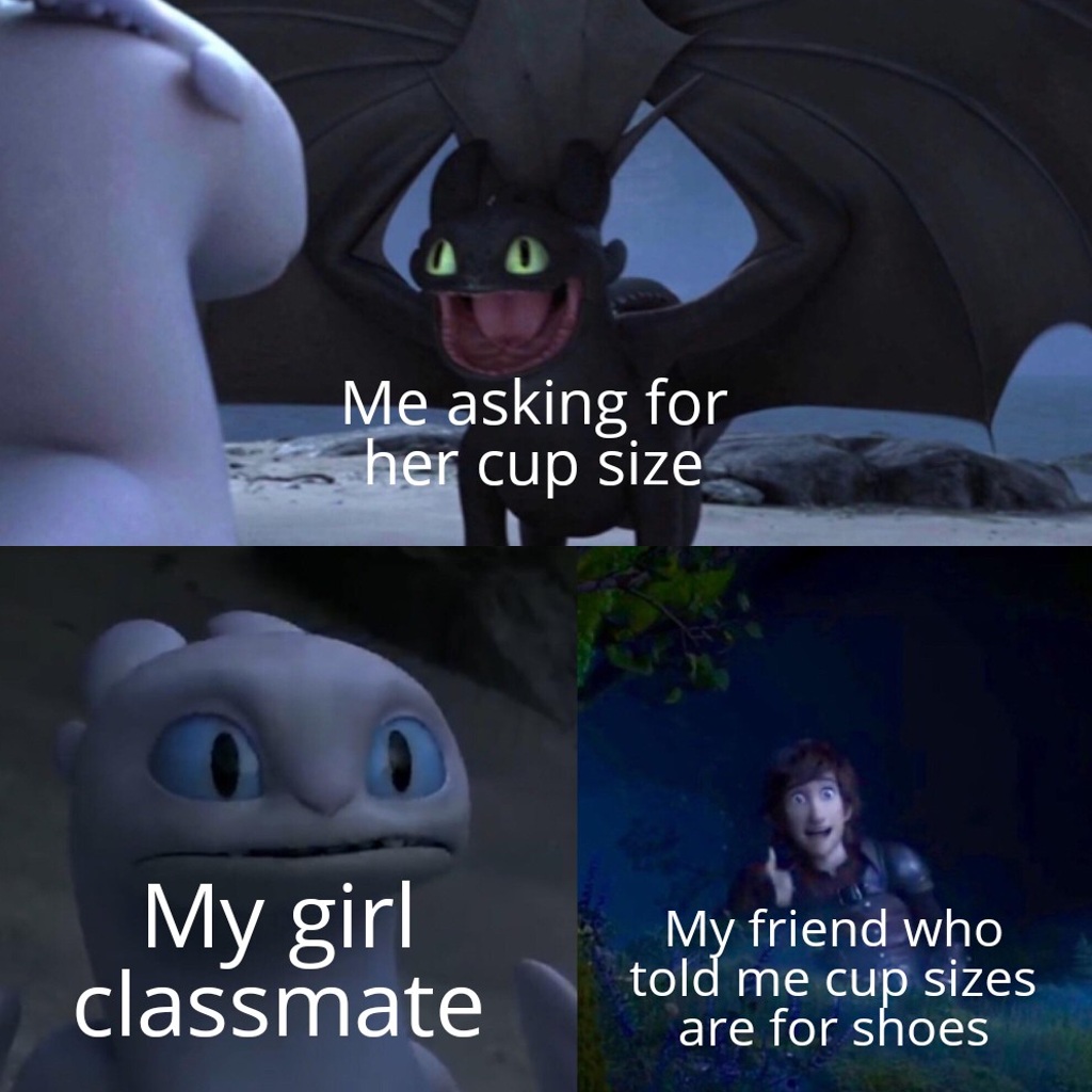 funny memes - we ve been tricked backstabbed and quite possibly bamboozled - Me asking for her cup size My girl classmate My friend who told me cup sizes are for shoes