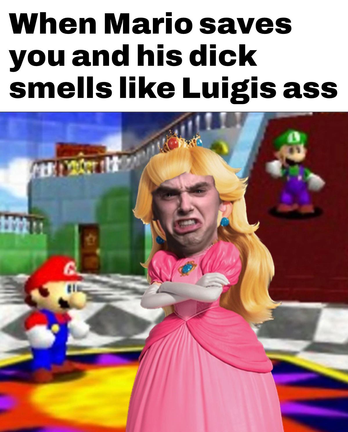 funny memes - super mario 64 luigi - When Mario saves you and his dick smells Luigis ass