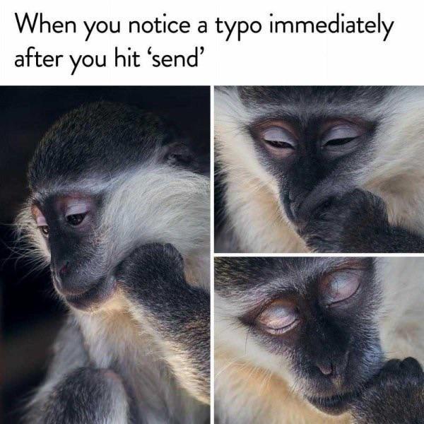 dank memes - funny life memes - When you notice a typo immediately after you hit 'send'