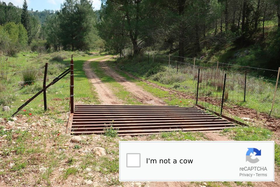 dank memes - path - I'm not a cow 2018 reCAPTCHA Privacy Terms