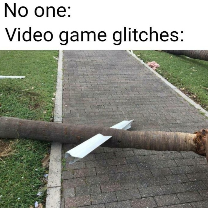dank memes - video game glitch meme - No one Video game glitches