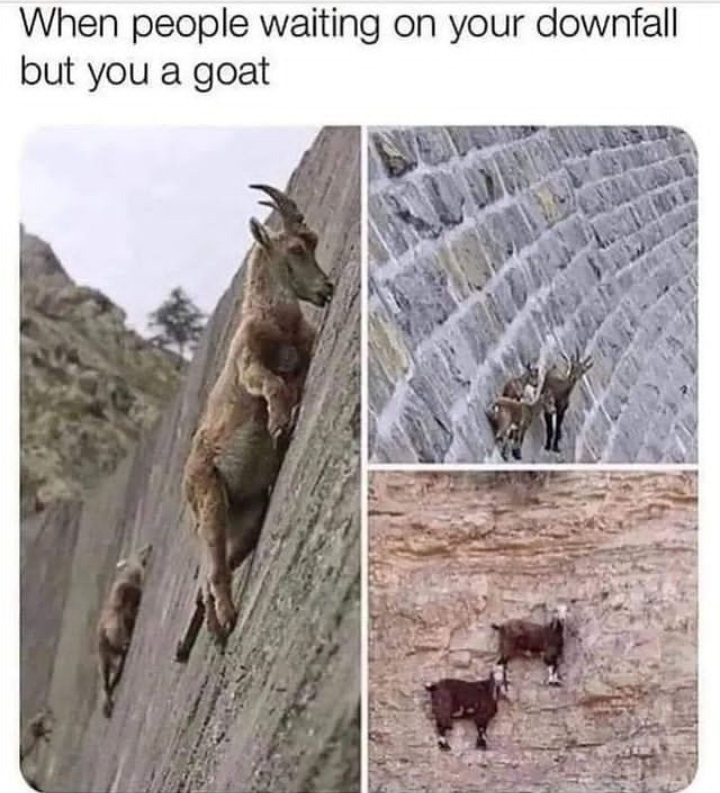 funny pics and memes - praying on my downfall meme - When people waiting on your downfall but you a goat