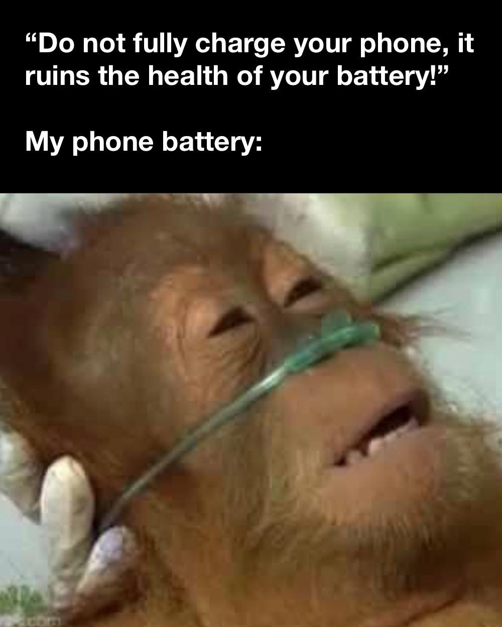 funny pics and memes - tell my wife i m - "Do not fully charge your phone, it ruins the health of your battery!" My phone battery