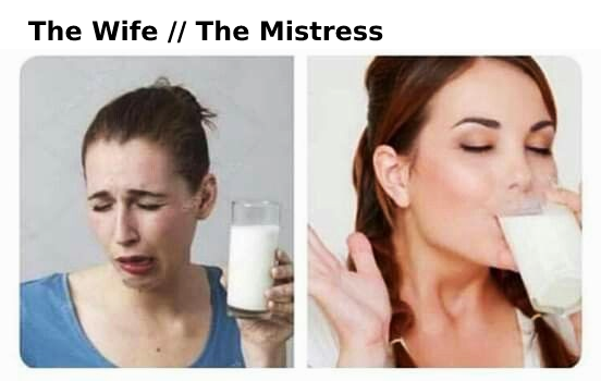 funny pics and memes - The Wife The Mistress