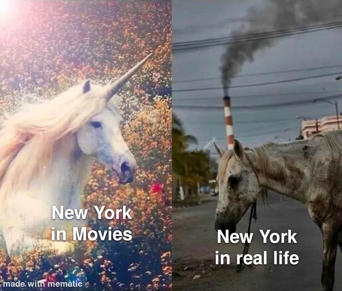 dank memes - Meme - New York in Movies made with memtic New York in real life