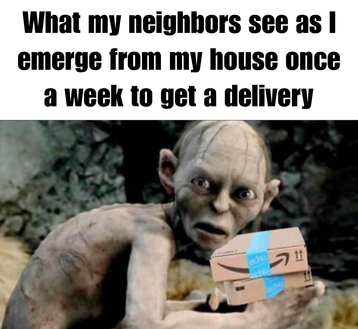 Funny and memes - photo caption - What my neighbors see as I emerge from my house once a week to get a delivery 5 tt echo