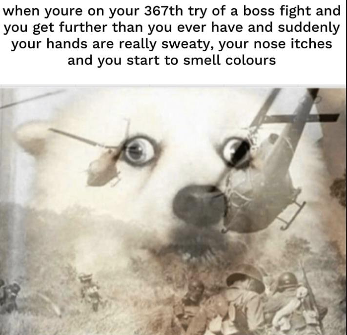Funny and memes - Meme - when youre on your 367th try of a boss fight and you get further than you ever have and suddenly your hands are really sweaty, your nose itches and you start to smell colours 102163