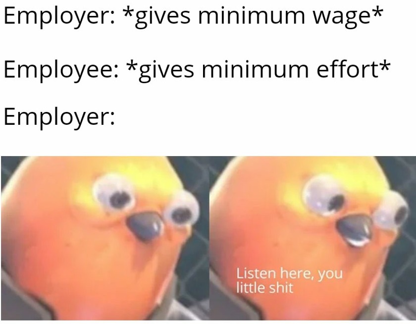 funny memes - photo caption - Employer gives minimum wage Employee gives minimum effort Employer Listen here, you little shit