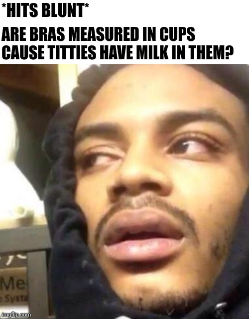 dank memes - beard - Hits Blunt Are Bras Measured In Cups Cause Titties Have Milk In Them? 1 Me Syste imgflip.com