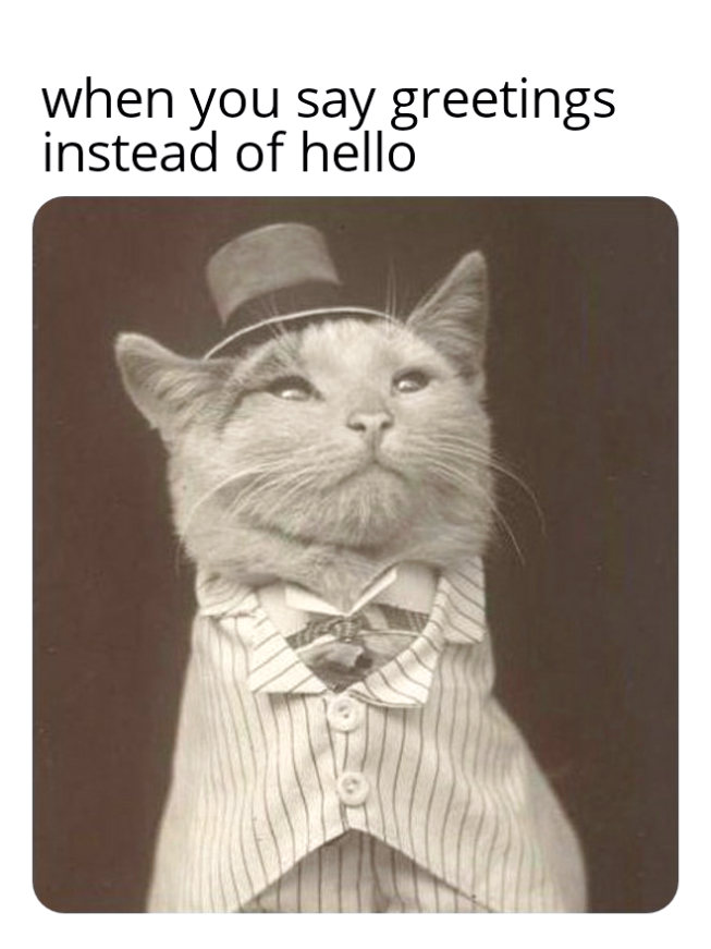 dank memes - cat top hat meme - when you say greetings instead of hello