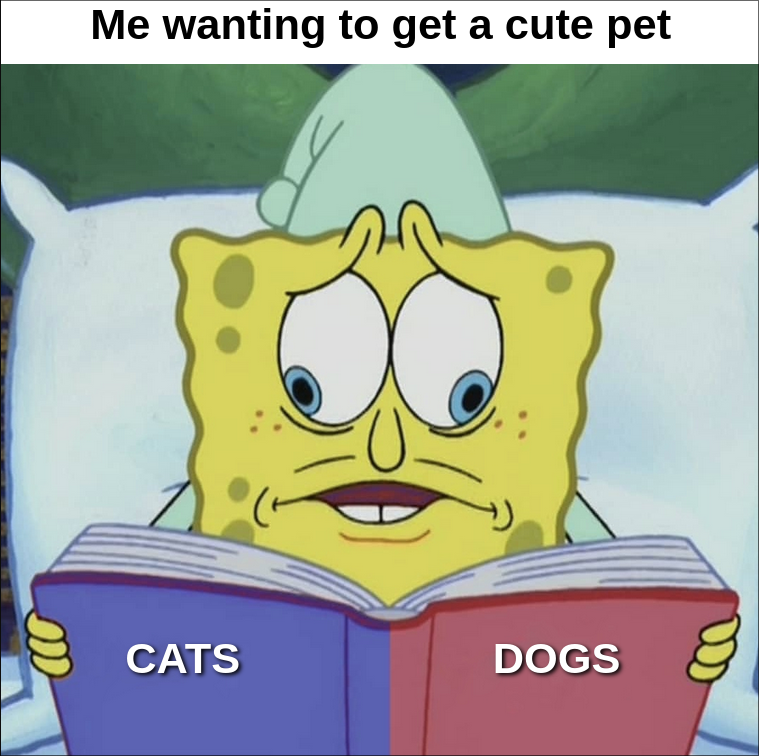 dank memes - cartoon - 10 Me wanting to get a cute pet Cats Dogs 8