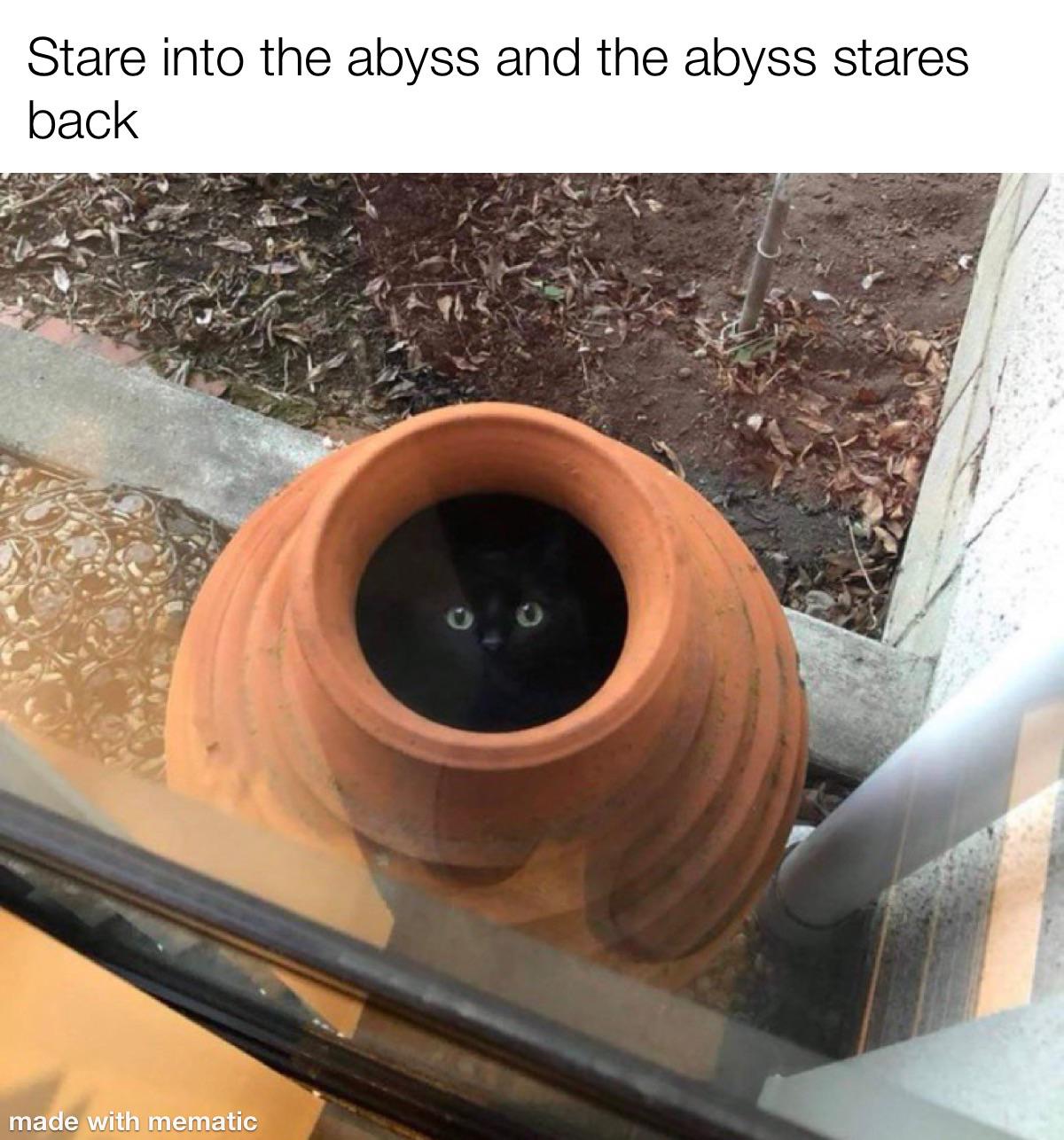 dank memes - abyss stares back cat meme - Stare into the abyss and the abyss stares back made with mematic