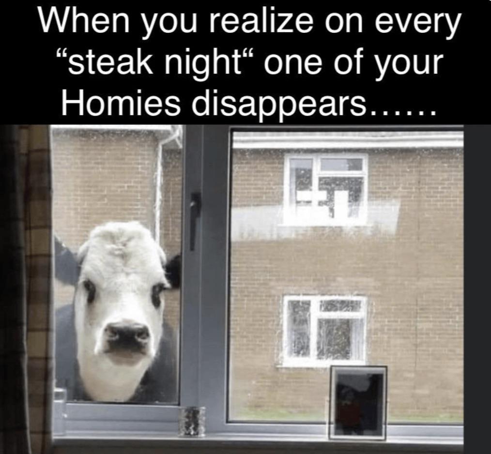 dank memes - lil wayne freemason - When you realize on every "steak night" one of your Homies disappears...... 5
