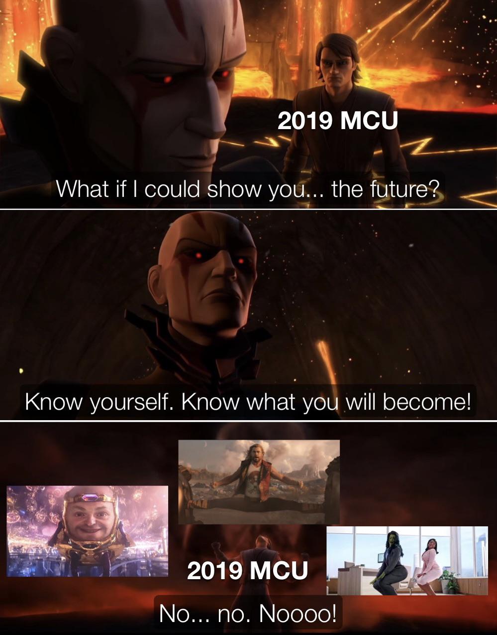 funny memes - film - 2019 Mcu What if I could show you... the future? Know yourself. Know what you will become! 2019 Mcu No... no. Noooo!
