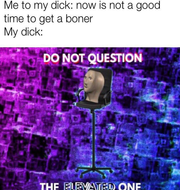 funny memes - meme man do not question the elevated one - Me to my dick now is not a good time to get a boner My dick Do Not Question The Elevated One