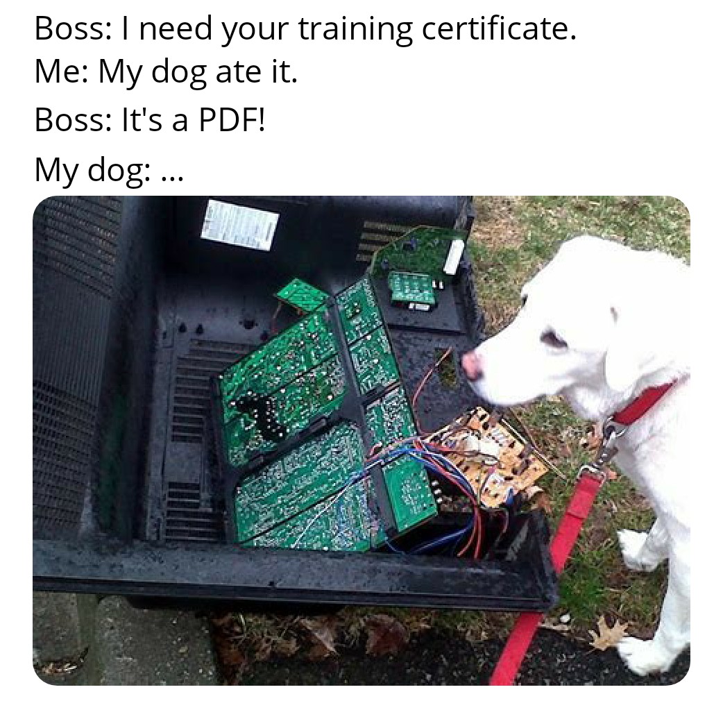 funny friday memes - dog - Boss I need your training certificate. Me My dog ate it. Boss It's a Pdf! My dog ... In all