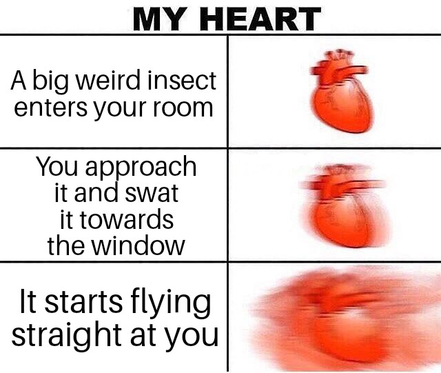 mistborn era 1 memes - My Heart A big weird insect enters your room You approach it and swat it towards the window It starts flying straight at you